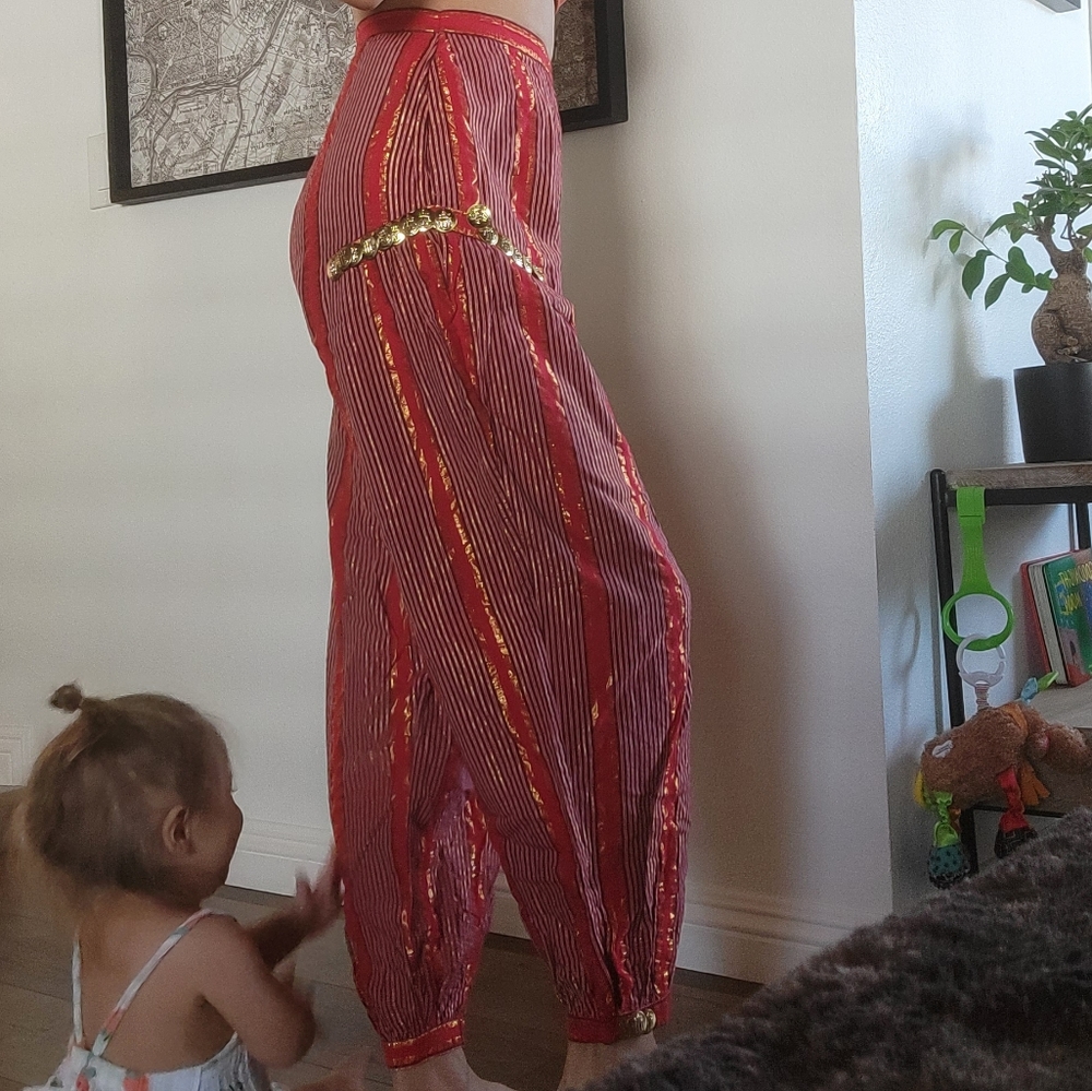 Vintage Bohemian Pants | Size 23 waist